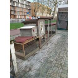 Kippenhok en 3 cochins