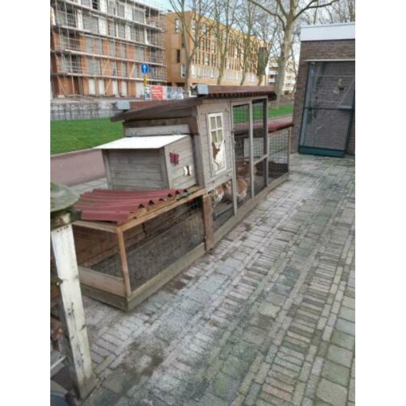 Kippenhok en 3 cochins