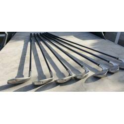 Mooie Golf Clubs King Cobra FP