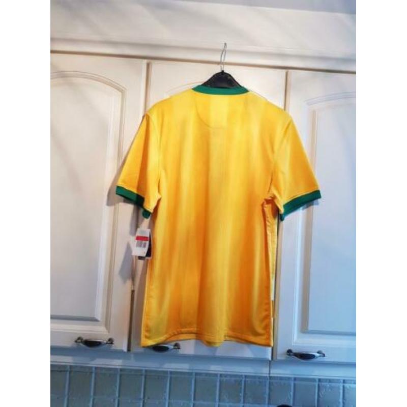 Nieuw shirt van Mamelodi Sundowns, Nike maat L