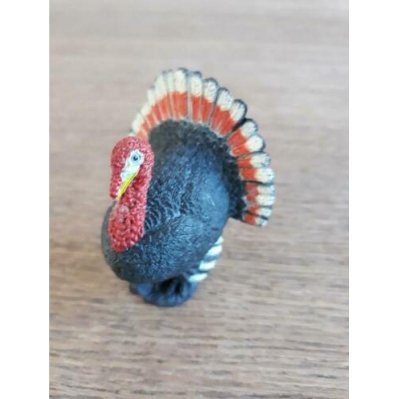 Boerderijdier Kalkoen