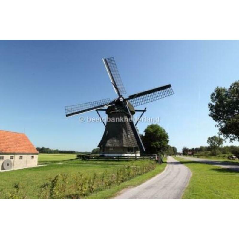 Kleur in uw interieur. Kies een afbeelding die bij u past.