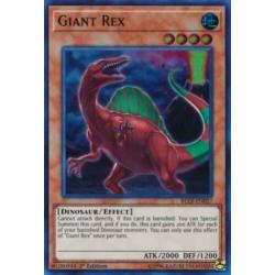 Yu-Gi-Oh! Gezocht Dino/ True King