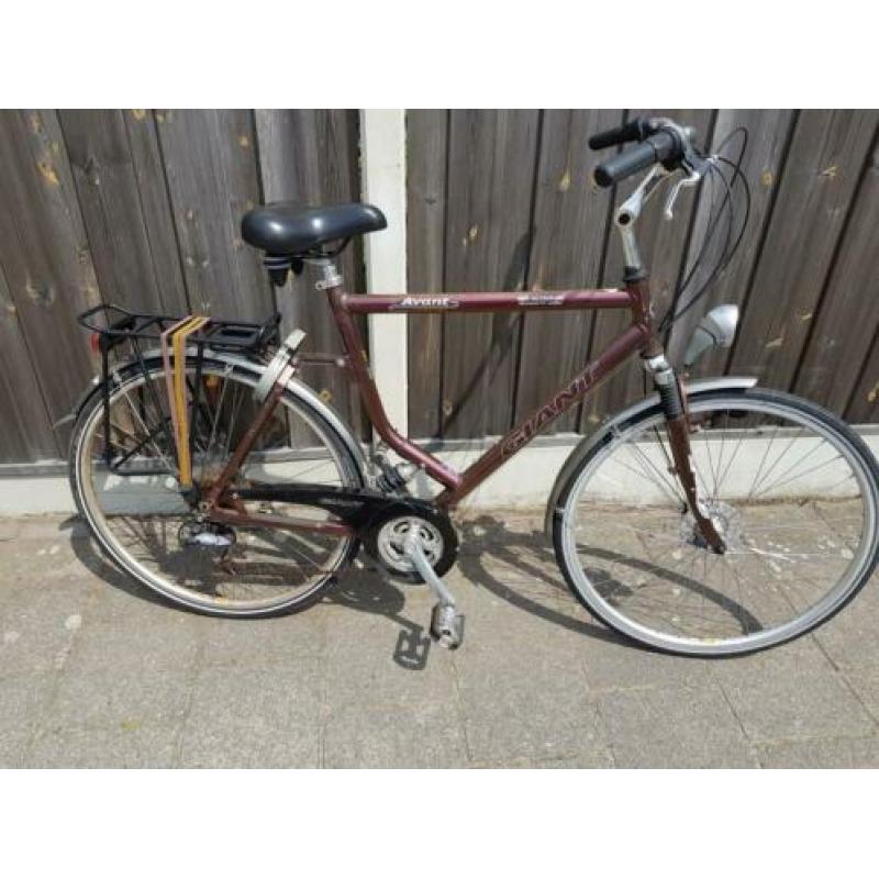 Giant avant heren fiets