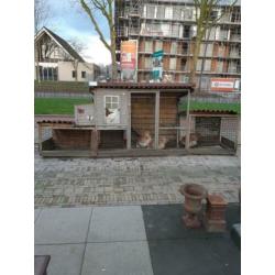 Kippenhok en 3 cochins