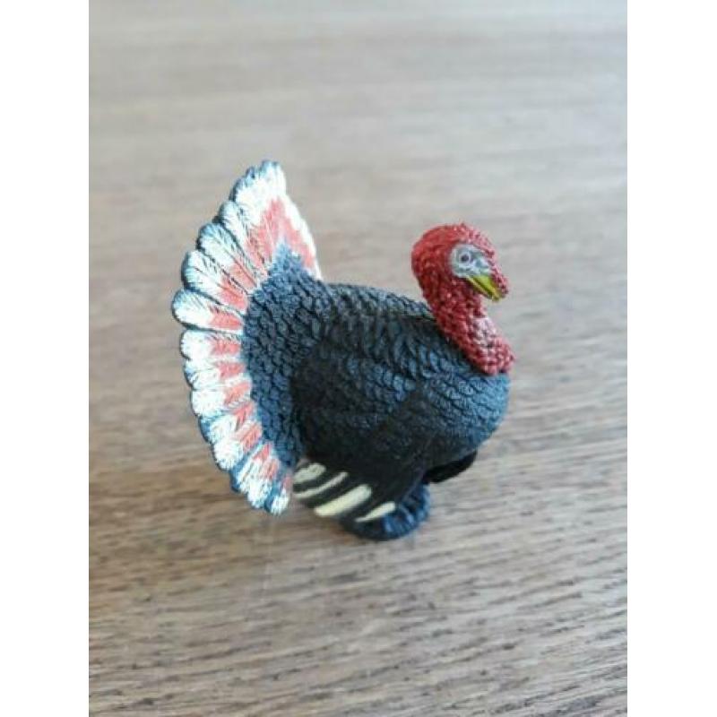 Boerderijdier Kalkoen