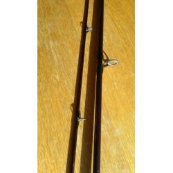 Baitcaster Wout van Leeuwen Sportex 240 40gr