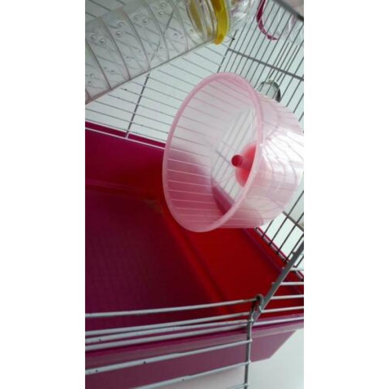 Hamsterkooi