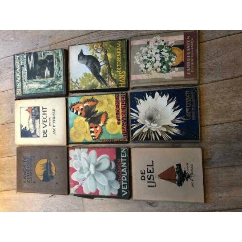 13 Originele oude plaatjesboek JP Thijsse