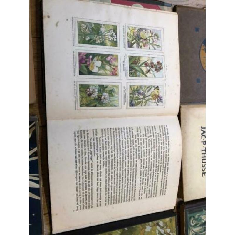 13 Originele oude plaatjesboek JP Thijsse