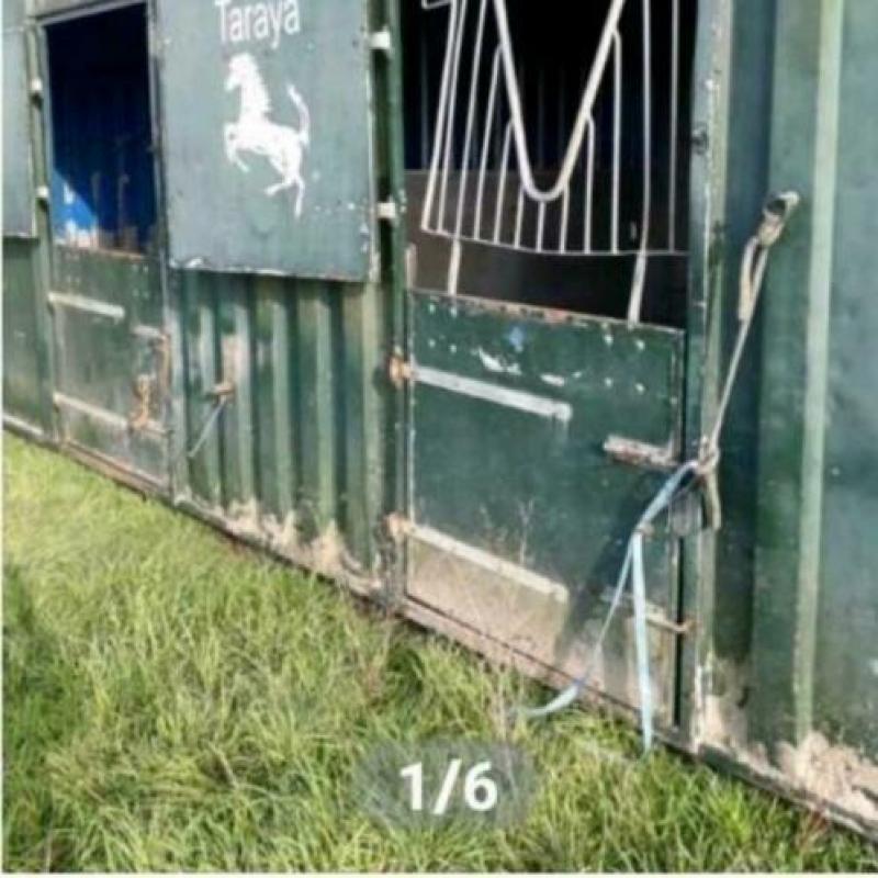 Zeecontainer met 2 paardenboxen