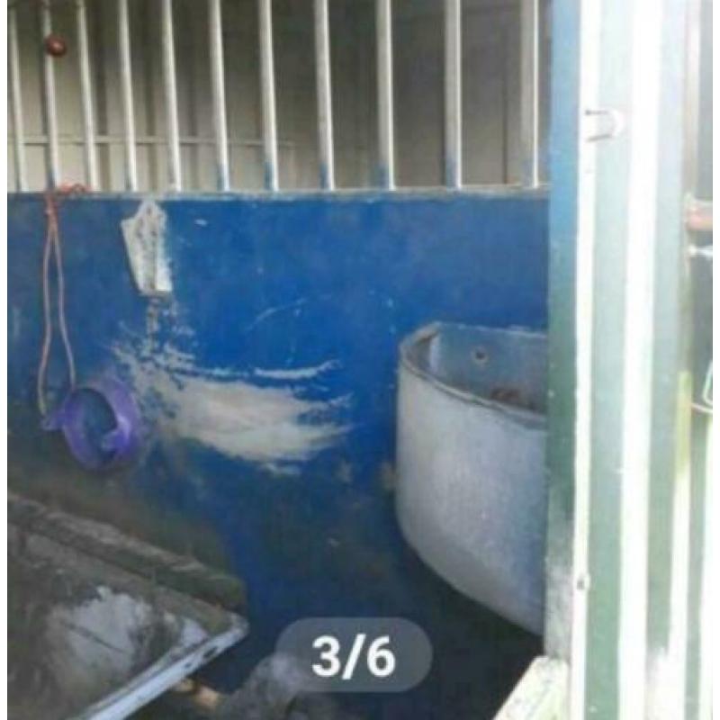 Zeecontainer met 2 paardenboxen