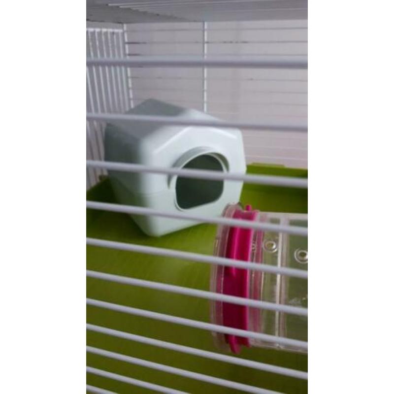 Hamsterkooi