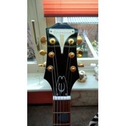 Epiphone Wildkat White royal