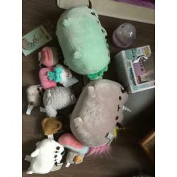 Pusheen super veel!