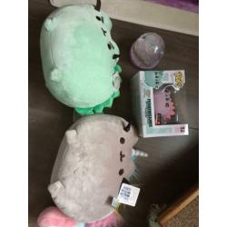 Pusheen super veel!