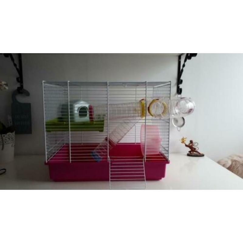 Hamsterkooi