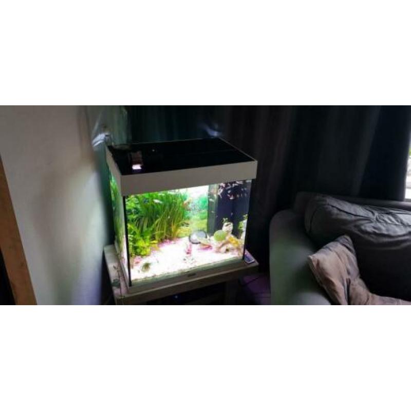 Lido 120 led met alles erop en eraan