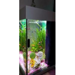 Lido 120 led met alles erop en eraan