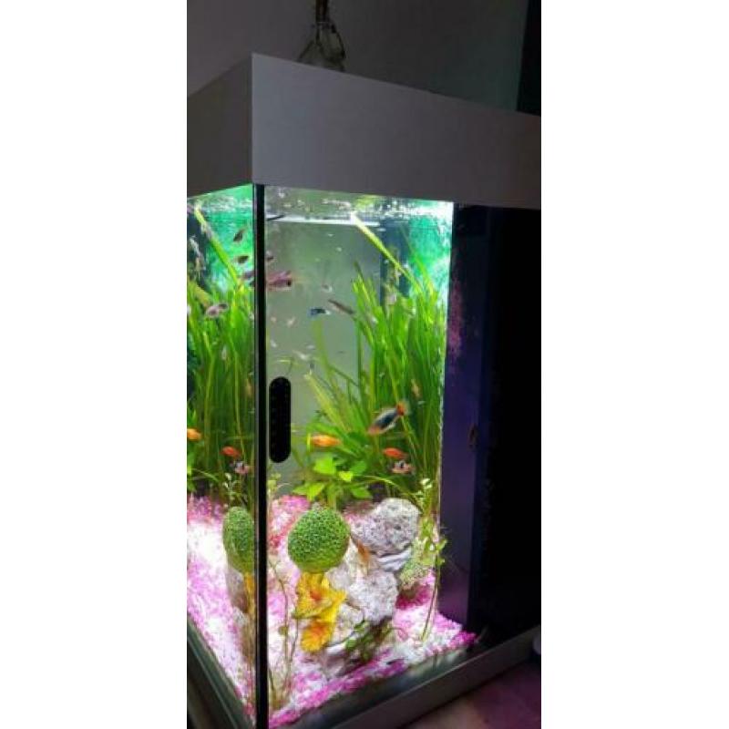 Lido 120 led met alles erop en eraan
