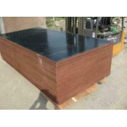 Betonplex populieren Underlayment plaatwerk 18mm