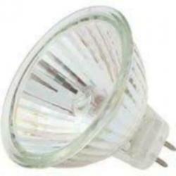 Halogeen Spot 50 Watt en 35 Watt 12 Volt GU5 MR16 Steekvoet