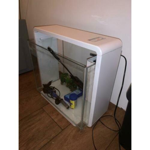 Superfish aquarium