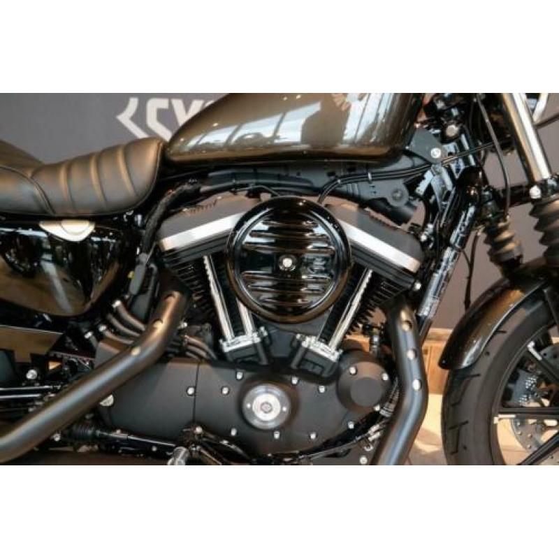 Harley-Davidson XL883N Iron (bj 2020)