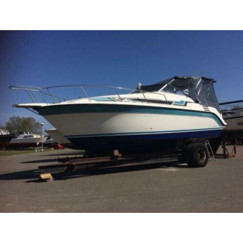 Speedcruiser Carver