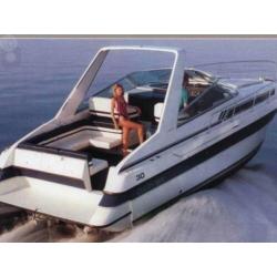 Speedcruiser Carver