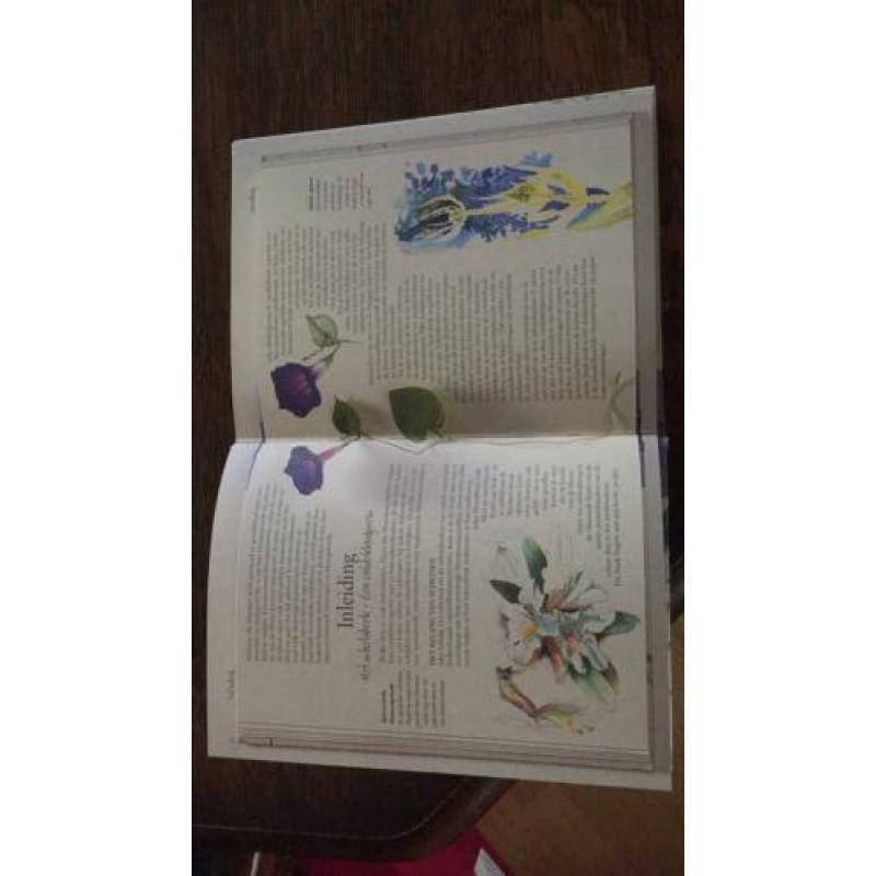 Aquarelboek