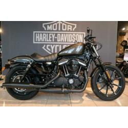 Harley-Davidson XL883N Iron (bj 2020)