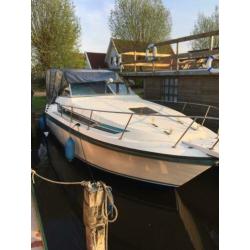 Speedcruiser Carver