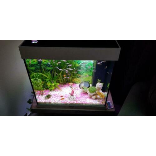 Lido 120 led met alles erop en eraan
