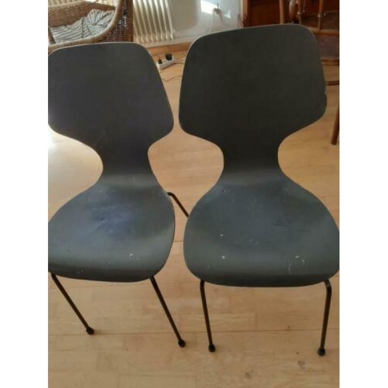 PHOENIX , Deense eetkamer stoelen.