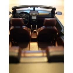 Volkswagen Eos schaalmodel origineel