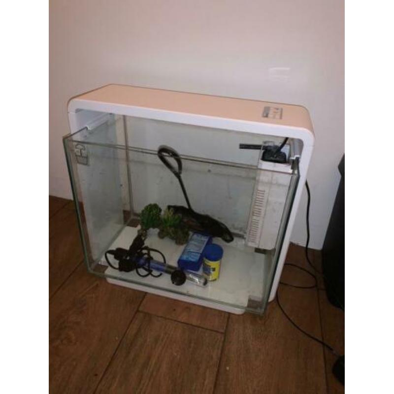 Superfish aquarium