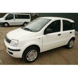 Fiat Panda 1.4 NATRURAL POWER CNG AARDGAS (bj 2012)