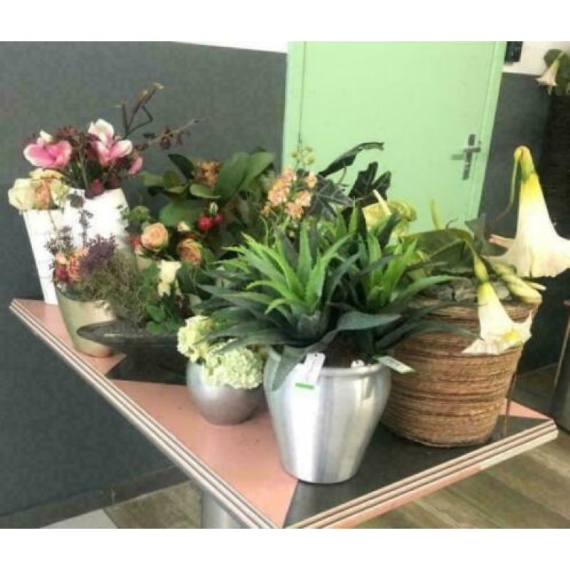 kunstbloemen en planten in pot / secound flowers