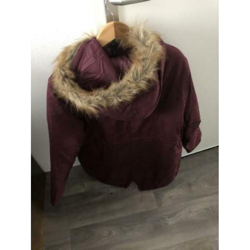 Winterjas