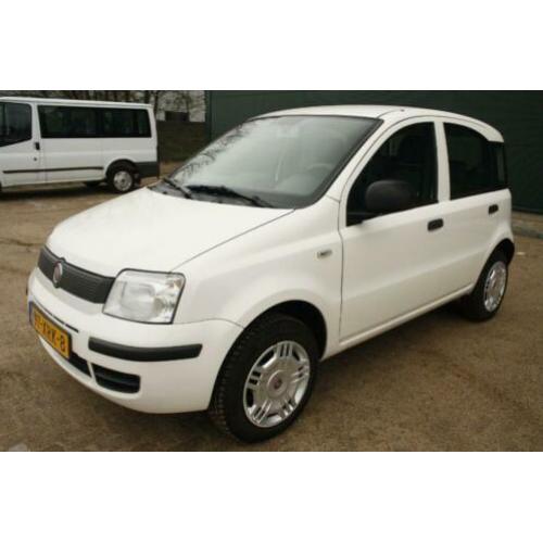 Fiat Panda 1.4 NATRURAL POWER CNG AARDGAS (bj 2012)