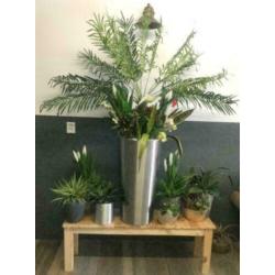 kunstbloemen en planten in pot / secound flowers
