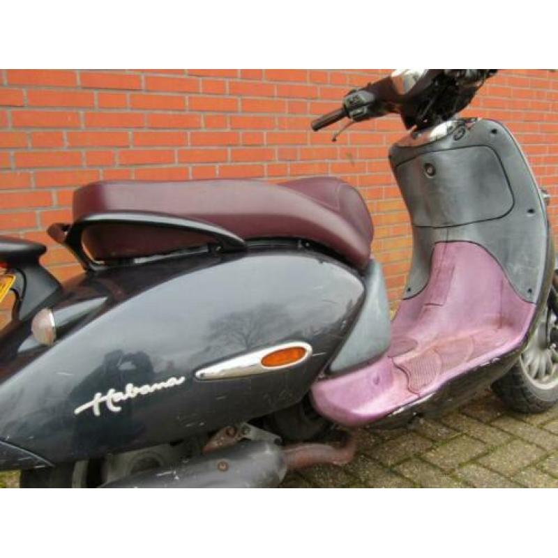 Aprilia Habana Mojito met compleet geel kenteken