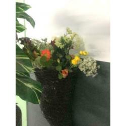 kunstbloemen en planten in pot / secound flowers