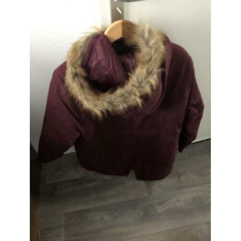 Winterjas