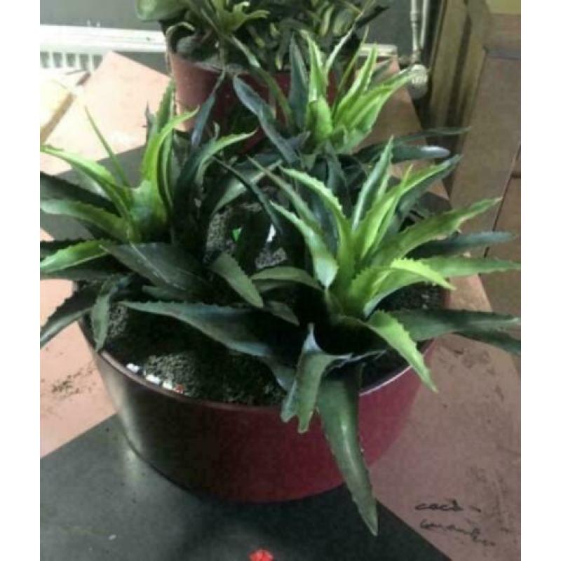 kunstbloemen en planten in pot / secound flowers