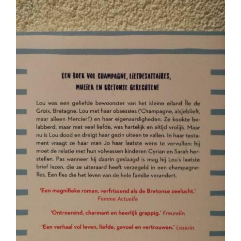 Boek "Het geluk van Lou" van Lorraine Fouchet.