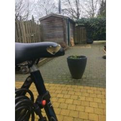 Meisjes fiets