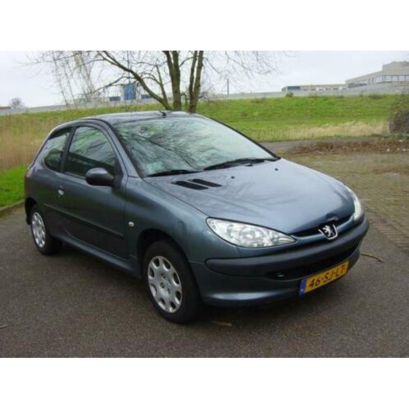 Peugeot 206 VERKOCHT, KIJK OP DE WEBSITE VOOR MEER AUTO'S