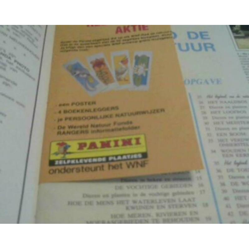 Panini WWF